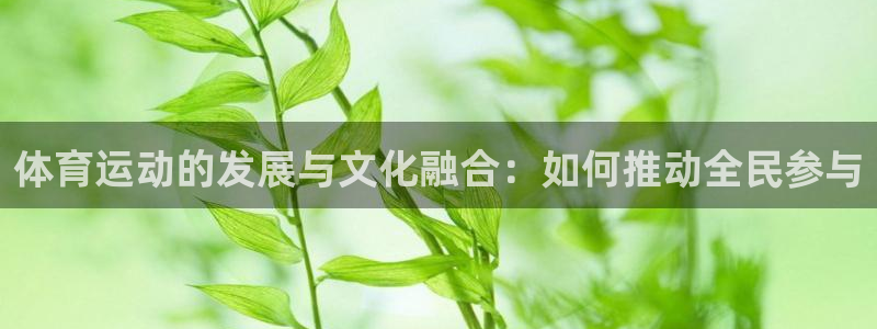 球王会体育