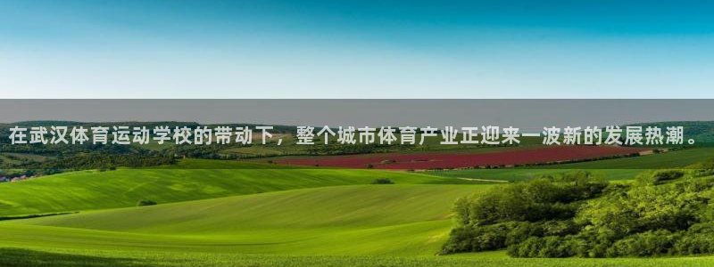 球王会体育