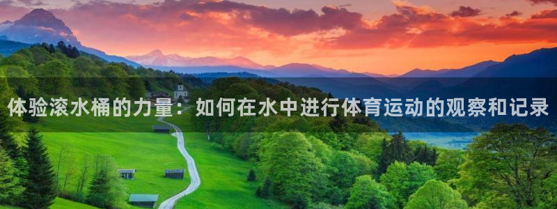 球王会体育