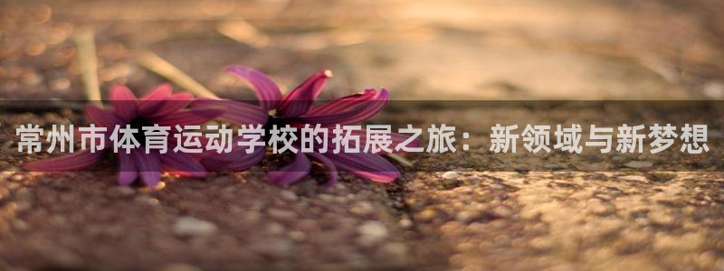 球王会体育