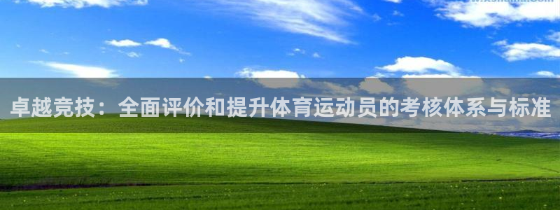 球王会体育