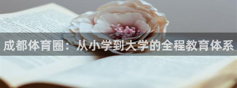 球王会体育