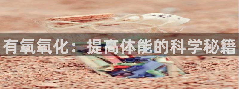 球王会体育