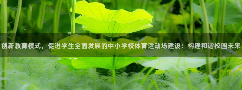 球王会体育