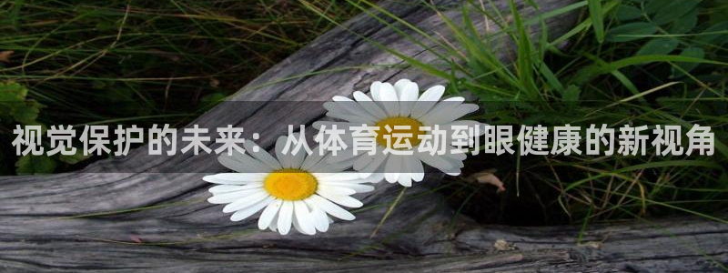 球王会体育