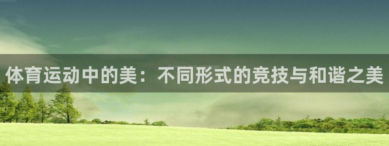 球王会体育