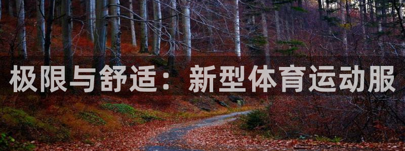 球王会体育