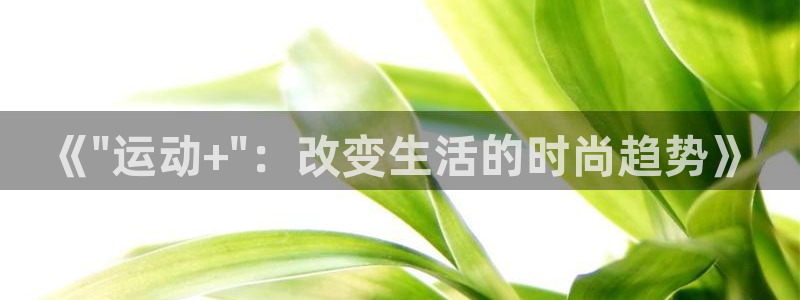 球王会体育