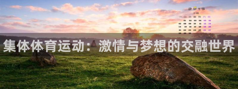 球王会体育