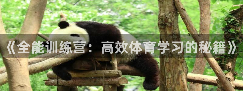 球王会体育