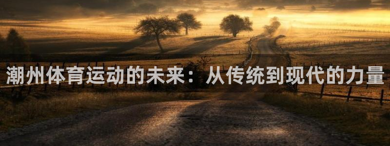 球王会体育